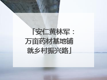 安仁黄林军：万亩药材基地铺就乡村振兴路