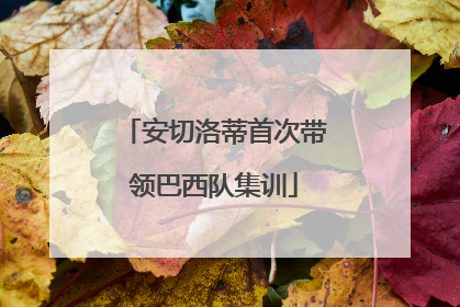 安切洛蒂首次带领巴西队集训