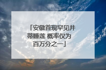 安徽首现罕见并蒂睡莲 概率仅为百万分之一