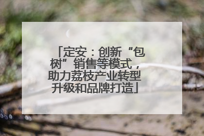 定安：创新“包树”销售等模式，助力荔枝产业转型升级和品牌打造