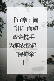 宜章：闻“汛”而动 政企携手为烟农撑起“保护伞”