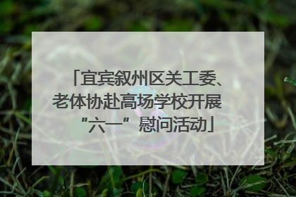 宜宾叙州区关工委、老体协赴高场学校开展“六一”慰问活动