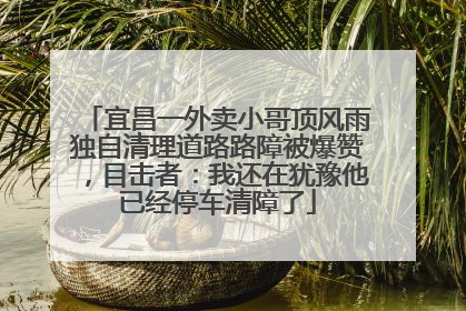 宜昌一外卖小哥顶风雨独自清理道路路障被爆赞，目击者：我还在犹豫他已经停车清障了