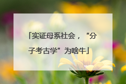 实证母系社会，“分子考古学”为啥牛
