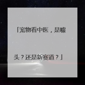 宠物看中医,是噱头?还是新赛道?