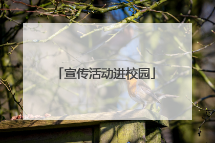 宣传活动进校园