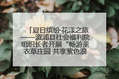 夏日缤纷·花漾之旅——溆浦县社会福利院组织长者开展“畅游薰衣草庄园 共享紫色浪漫”户外活动