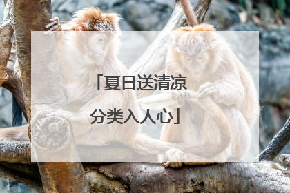 夏日送清凉 分类入人心