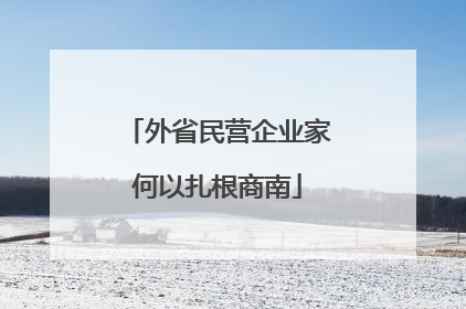 外省民营企业家何以扎根商南