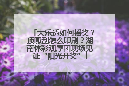 大乐透如何摇奖？顶呱刮怎么印刷？湖南体彩观摩团现场见证“阳光开奖”