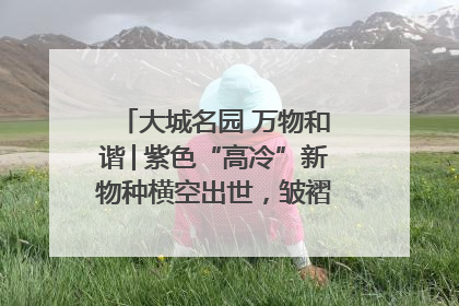 大城名园 万物和谐│紫色“高冷”新物种横空出世，皱褶叶片暗藏进化密码