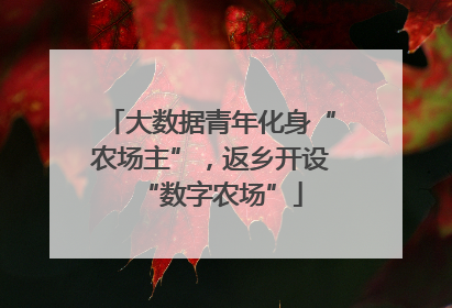 大数据青年化身“农场主”，返乡开设“数字农场”