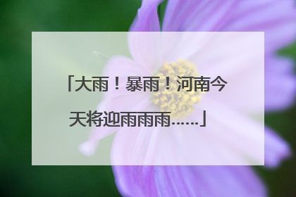 大雨！暴雨！河南今天将迎雨雨雨……