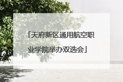 天府新区通用航空职业学院举办双选会