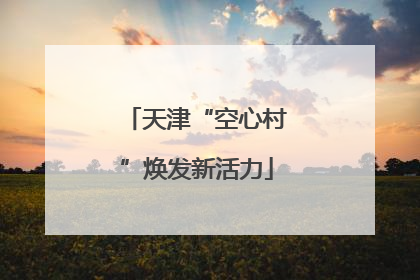 天津“空心村”焕发新活力