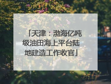 天津：渤海亿吨级油田海上平台陆地建造工作收官