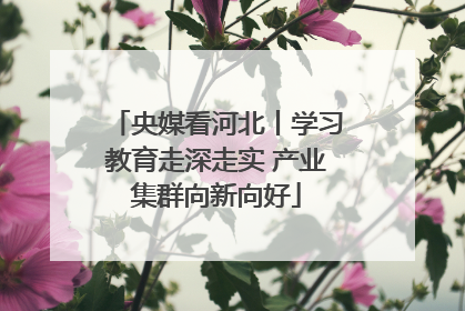 央媒看河北丨学习教育走深走实 产业集群向新向好
