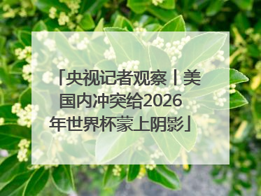 央视记者观察丨美国内冲突给2026年世界杯蒙上阴影