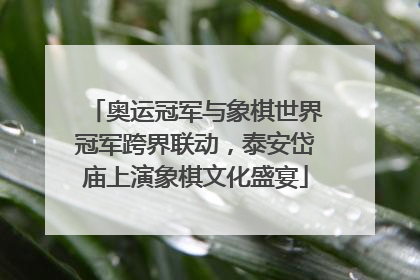 奥运冠军与象棋世界冠军跨界联动，泰安岱庙上演象棋文化盛宴