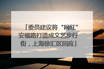 委员建议将“网红”安福路打造成文艺步行街，上海徐汇区回应