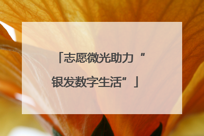 志愿微光助力“银发数字生活”
