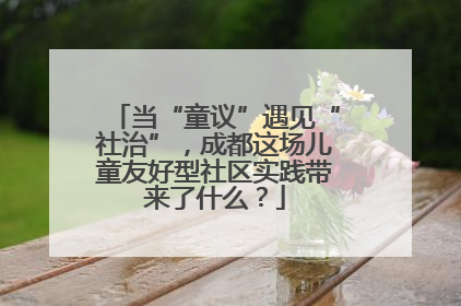 当“童议”遇见“社治”，成都这场儿童友好型社区实践带来了什么？