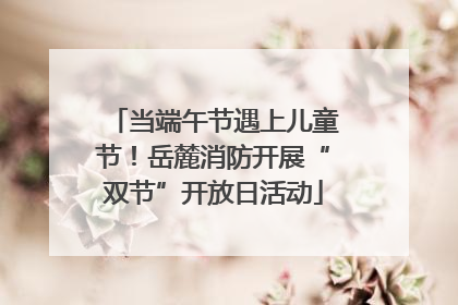 当端午节遇上儿童节！岳麓消防开展“双节”开放日活动