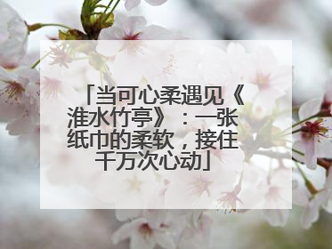 当可心柔遇见《淮水竹亭》：一张纸巾的柔软，接住千万次心动