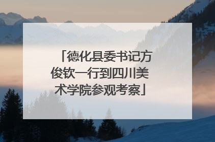 德化县委书记方俊钦一行到四川美术学院参观考察