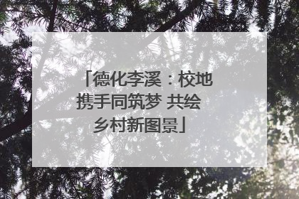 德化李溪：校地携手同筑梦 共绘乡村新图景