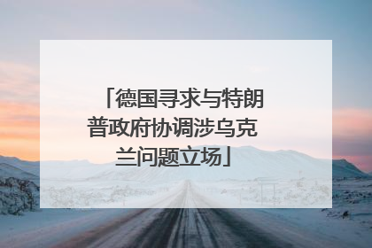 德国寻求与特朗普政府协调涉乌克兰问题立场