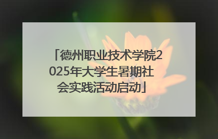 德州职业技术学院2025年大学生暑期社会实践活动启动