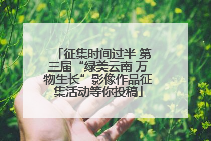 征集时间过半 第三届“绿美云南 万物生长”影像作品征集活动等你投稿