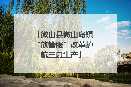 微山县微山岛镇“放管服”改革护航三夏生产