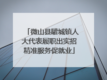 微山县驩城镇人大代表履职出实招精准服务促就业