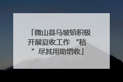 微山县马坡镇积极开展夏收工作 “秸”尽其用助增收