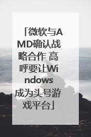 微软与AMD确认战略合作 高呼要让Windows成为头号游戏平台