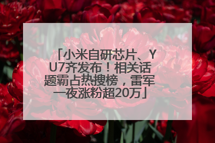 小米自研芯片、YU7齐发布！相关话题霸占热搜榜，雷军一夜涨粉超20万