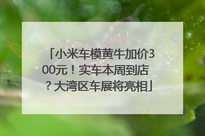 小米车模黄牛加价300元！实车本周到店？大湾区车展将亮相
