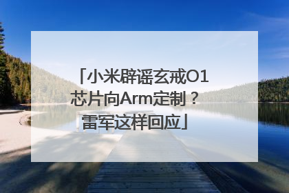 小米辟谣玄戒O1芯片向Arm定制？雷军这样回应