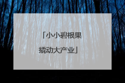小小碧根果撬动大产业
