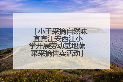 小手采摘自然味 宜宾江安西江小学开展劳动基地蔬菜采摘售卖活动