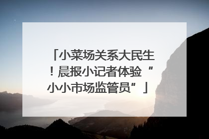 小菜场关系大民生！晨报小记者体验“小小市场监管员”