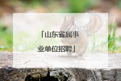 山东省属事业单位招聘