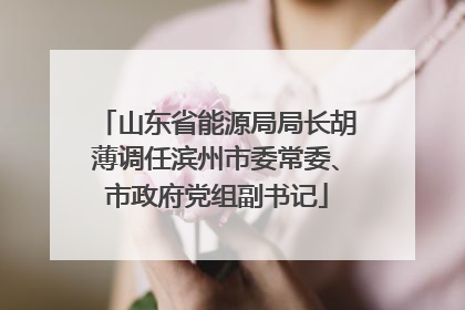 山东省能源局局长胡薄调任滨州市委常委、市政府党组副书记