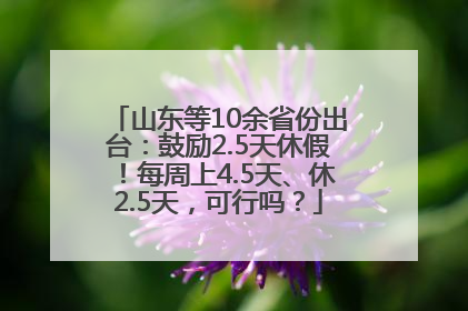 山东等10余省份出台：鼓励2.5天休假！每周上4.5天、休2.5天，可行吗？