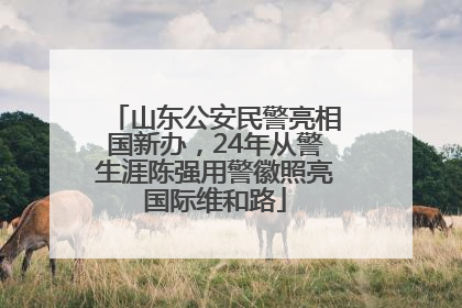 山东公安民警亮相国新办，24年从警生涯陈强用警徽照亮国际维和路