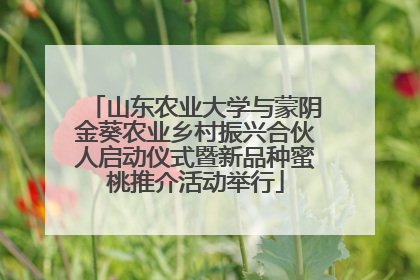 山东农业大学与蒙阴金葵农业乡村振兴合伙人启动仪式暨新品种蜜桃推介活动举行