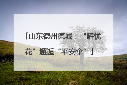山东德州德城：“解忧花”邂逅“平安伞”