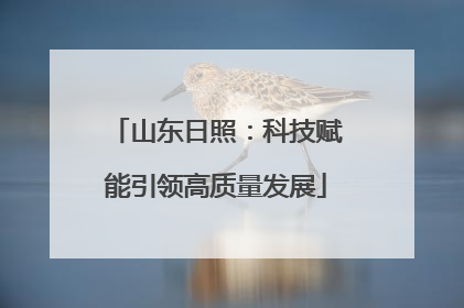 山东日照：科技赋能引领高质量发展